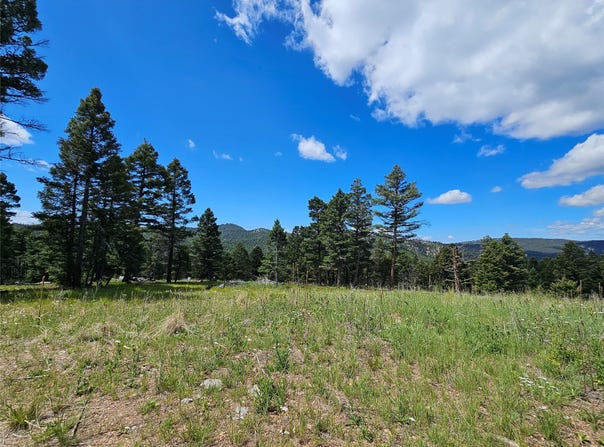 NHN Hoover Creek OSI-73 Road, Helmville, MT 59843