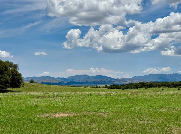 214 Apache Rd POCO TORO RANCH San Rafael Valley, Patagonia, AZ 85624