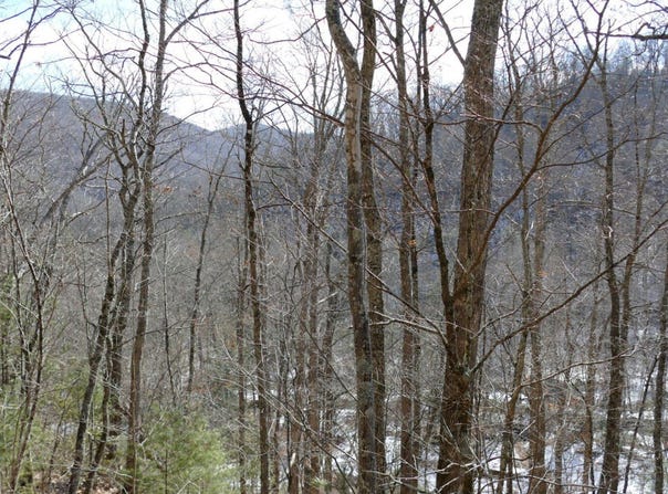 0 Upper Back Creek Road, Monterey, VA 24465