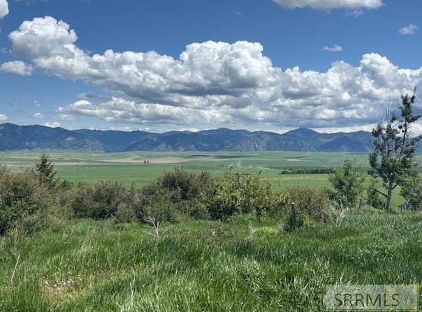 60.8 Acr Swan Valley Hwy, Ririe, ID 83443