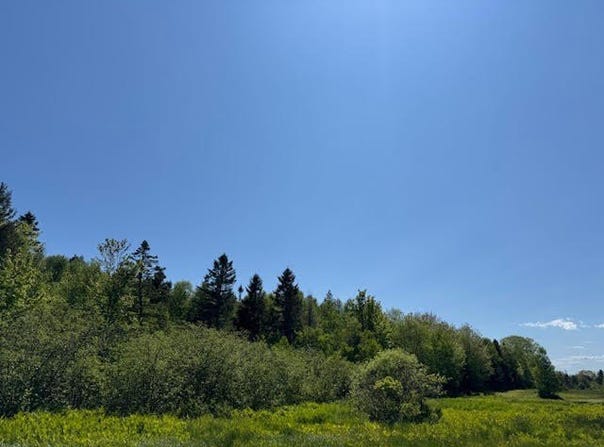 104 County Road, Eastport, ME 04631