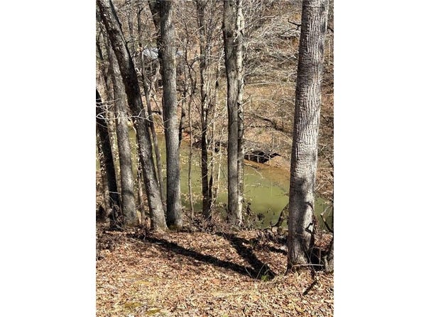 27 TRAILS END LANE, ALEXANDER CITY, AL 35010