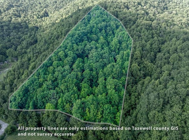 Dryfork Road, North Tazewell, VA 24630