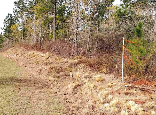 541 Holder Road, Batesburg, SC 29006