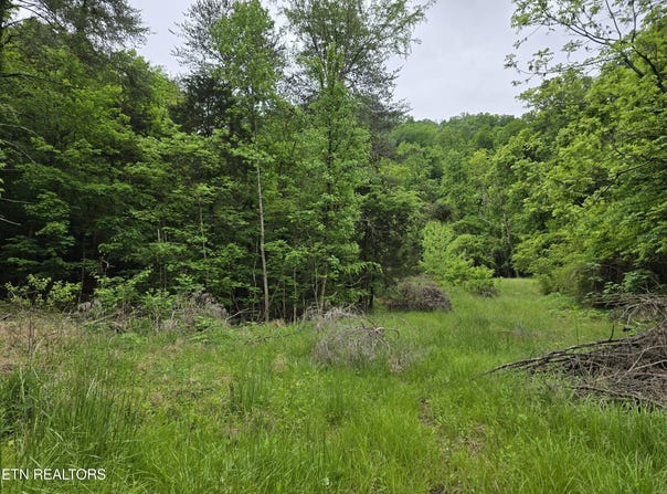 Tr 3 BOATMANS MOUNTAIN-TR-3, Morristown, TN 37814