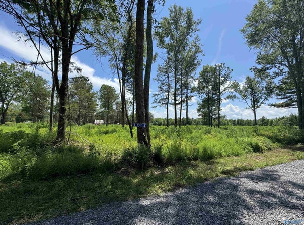 7 Hogs Lane, Albertville, AL 35951