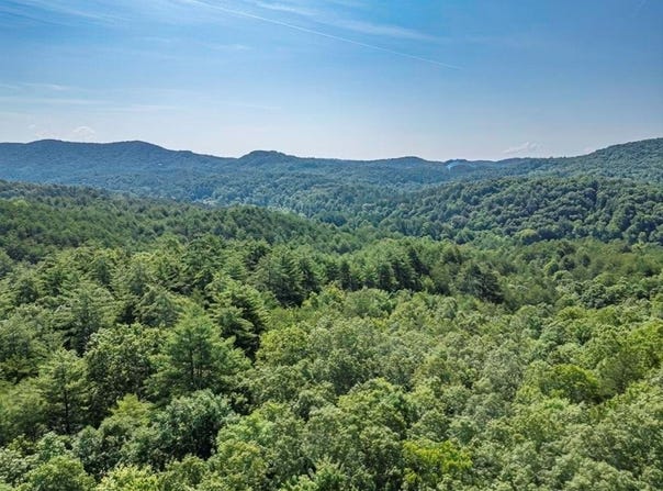 83.9 Ac Cutcane Road, Mineral Bluff, GA 30559