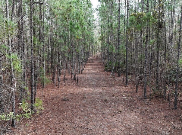 Lila Lane lot: 1, Pembroke, GA 31321