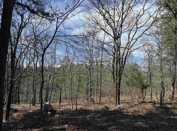 TBD Sangster Lane, Hot Springs, AR 71901