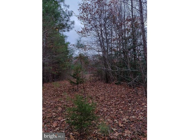 US ROUTE 1, RUTHER GLEN, VA 22546