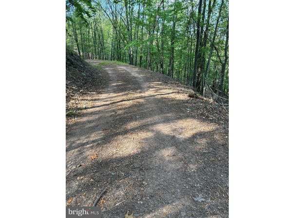699 CHICKLOON LANE, GREAT CACAPON, WV 25422