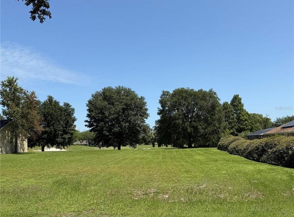 523 DOWLING CIRCLE, LADY LAKE, FL 32159