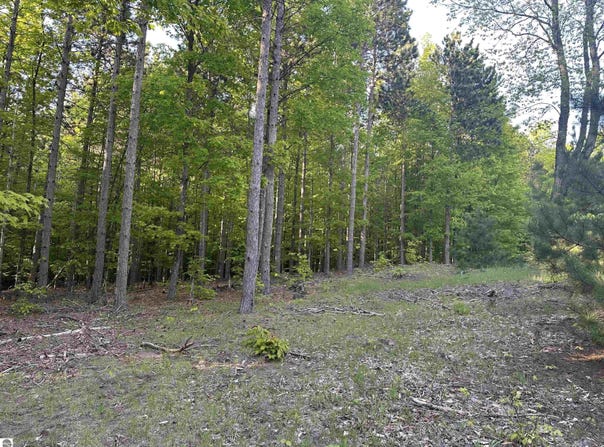 Parcel 8 Karnes Road, Glen Arbor, MI 49636