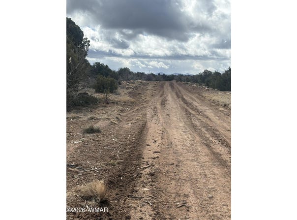 03E N8716, Concho, AZ 85924