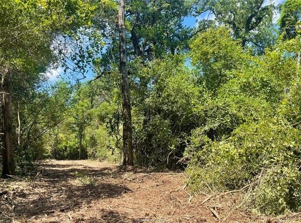 Tbd Mt Pleasant Rd (+/-5.75 acres), Franklin, TX 77856