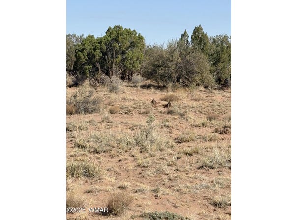 8580e Lawson Lane, Snowflake, AZ 85937