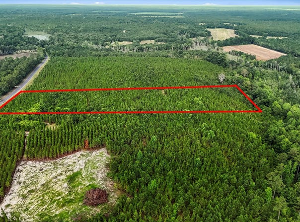 687 White Pond Road, Williston, SC 29853