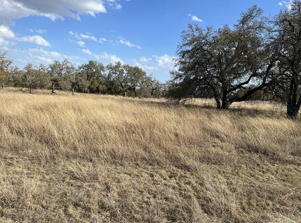 Lot 18 Cattlemans Crossing Dr, Kerrville, TX 78028