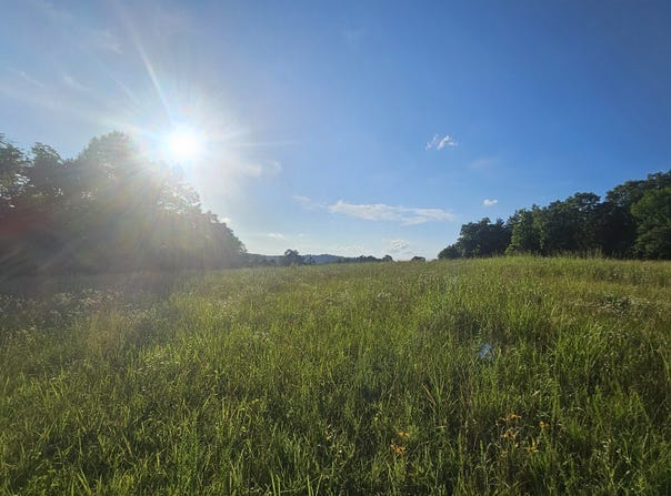001 Tomahawk Slab Road, Saint Joe, AR 72675