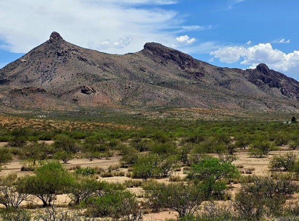 N Bruno Road, Douglas, AZ 85607