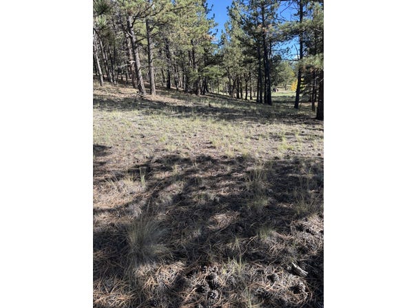 44 Horn Silver Dr, Westcliffe, CO 81252