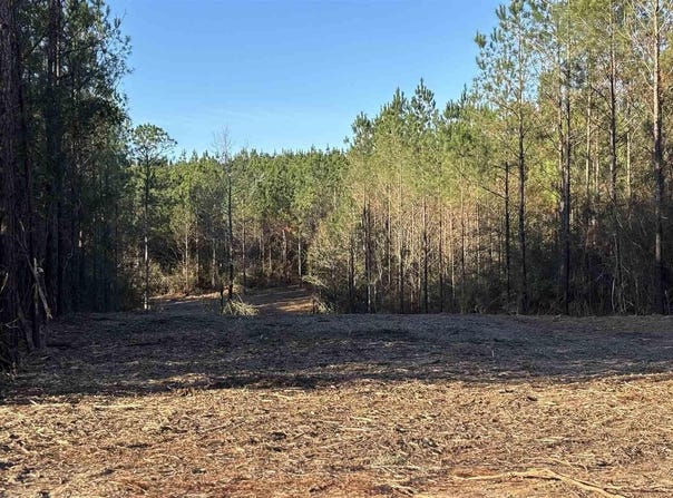 Straw Bridge Rd lot: 58, Jay, FL 32565