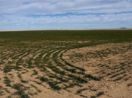 000 CO RD A, Cheyenne Wells, CO 80810