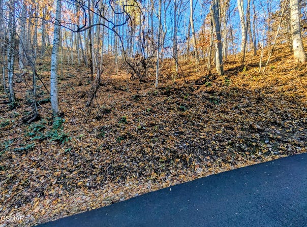 Ridgefield Drive lot: 339, Sevierville, TN 37876