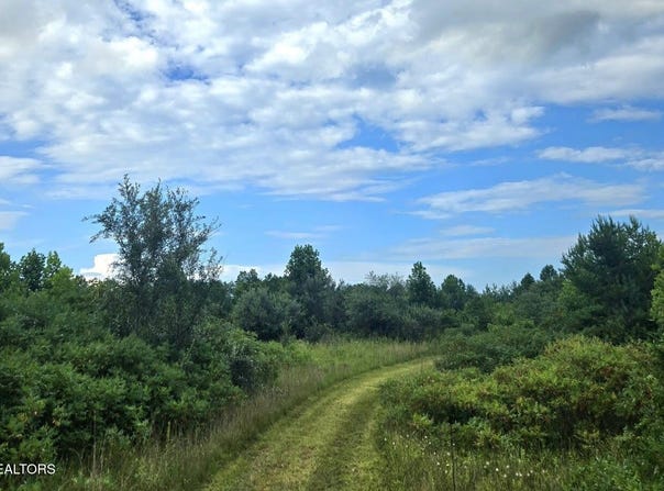 Tract 1 Grassy Knob Road, Robbins, TN 37852