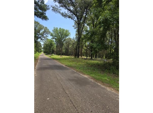 1 VZ County Road 4700, Ben Wheeler, TX 75754