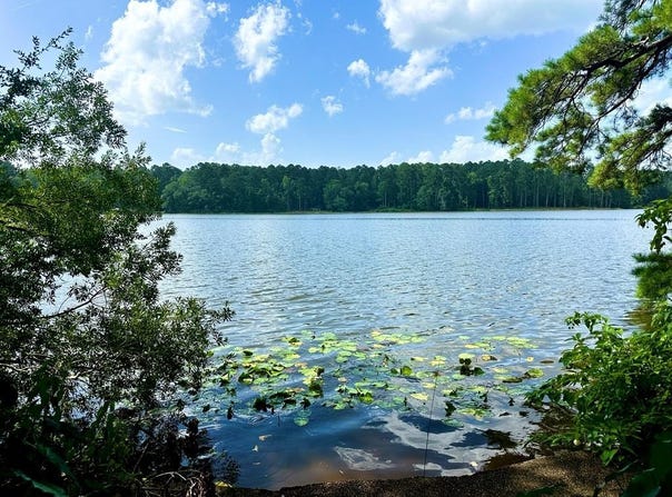 1054 Gardenia, Summit, MS 39666
