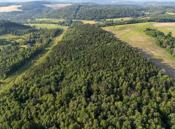 0-Lot 3 Buena Vista Street, Wellsboro, PA 16901