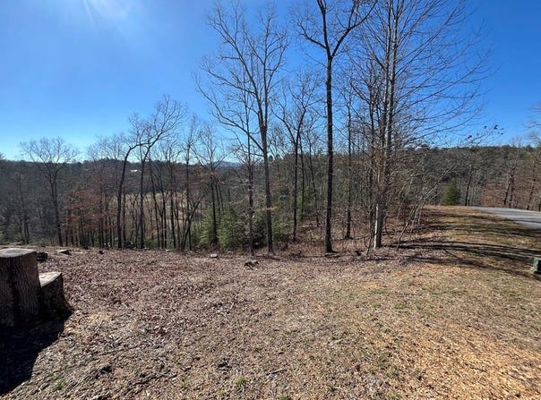 17 Fish Hawk Ridge, MURPHY, NC 28906