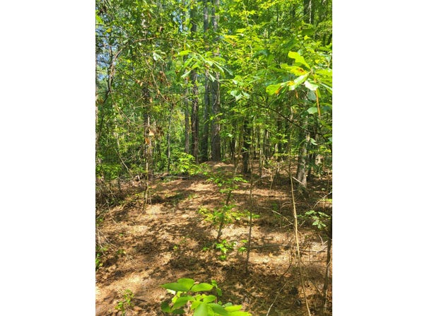 0 BUMPUS Road, Appling, GA 30802