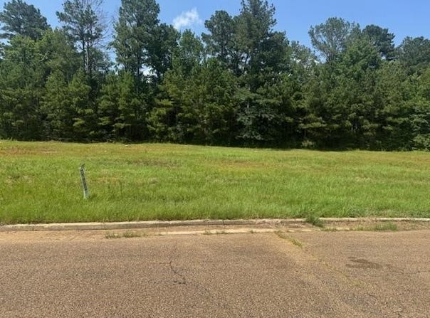 Lot 4 Business Center Drive, Mccomb, MS 39648