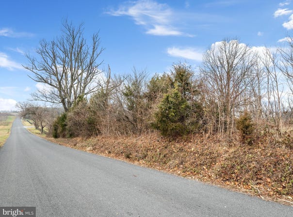 CARTERS LANE, STEPHENS CITY, VA 22655