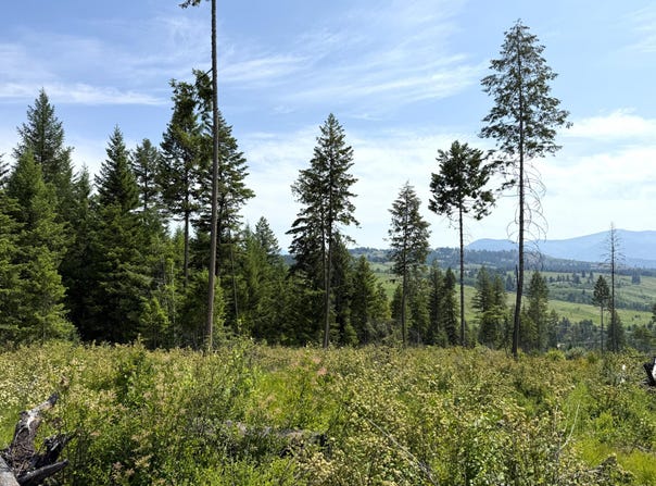 TBD ROCKABYE LN, CURLEW, WA 99118