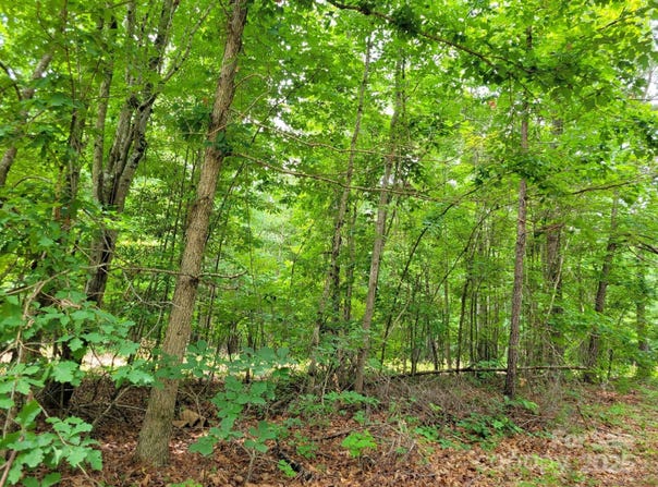 Dairy Road, Troy, NC 27371