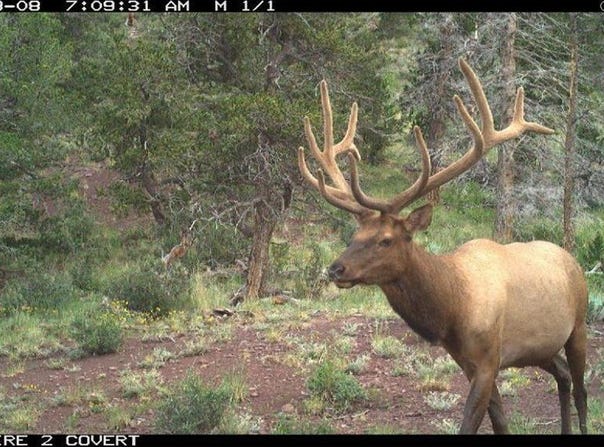 Spanish Peaks Dr, Aguilar, CO 81020