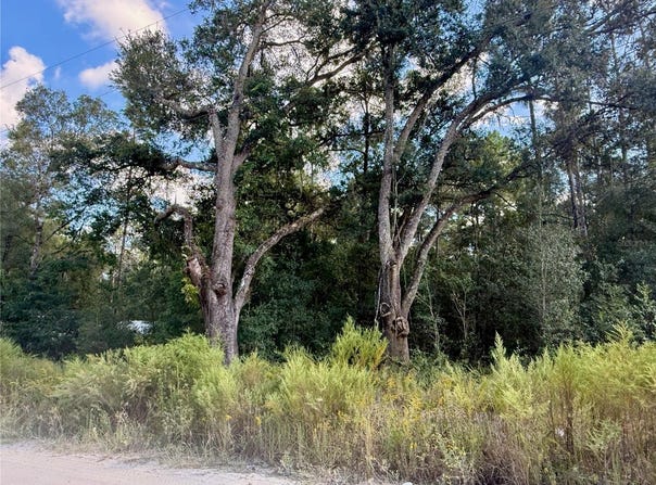 SW 16TH Place, OCALA, FL 34481