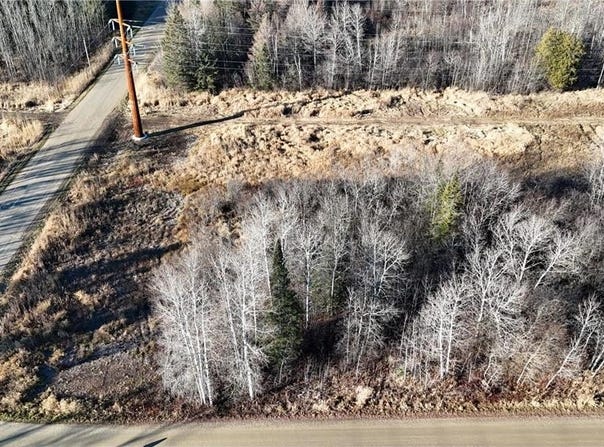 Parcel C Parameter Road, Deer River, MN 56636
