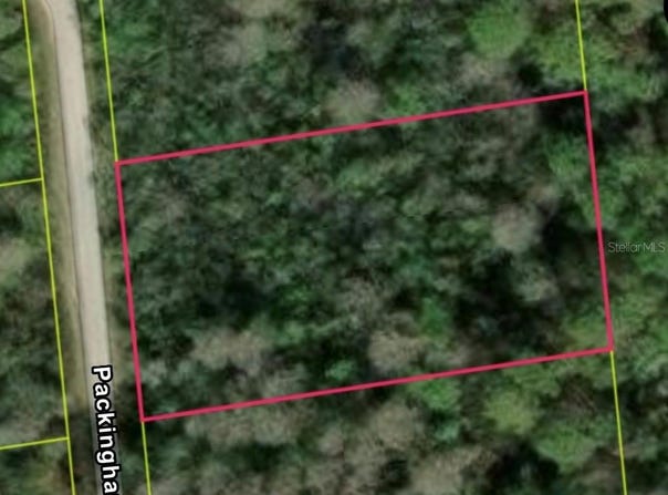 PACKINGHAM DR, LOT 10, WEBSTER, FL 33597