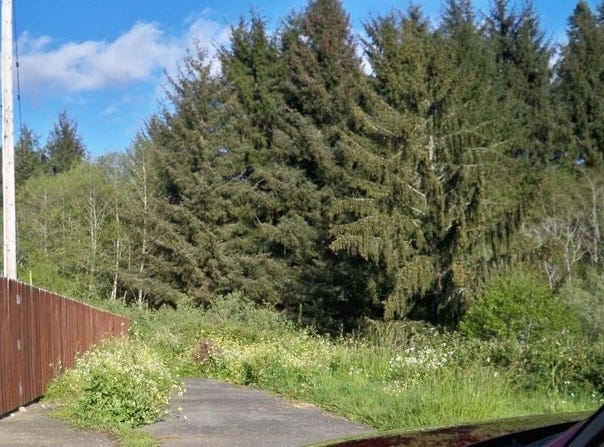 2436 Edwards Avenue, Crescent City, CA 95531-0348