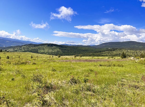 44 MOONLIGHT DR, CURLEW, WA 99118