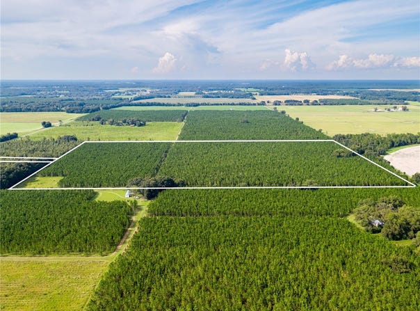 19000 COUNTY ROAD 349, O'BRIEN, FL 32071