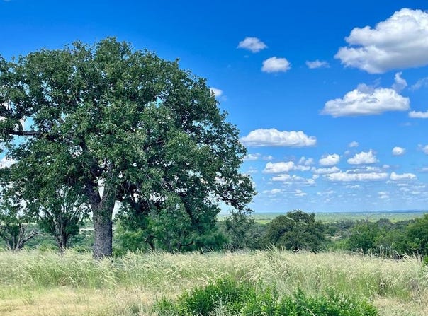 3623 Art Hedwigs Hill Rd, Mason, TX 76856