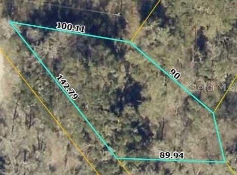 TBD1 SW 129TH Boulevard, WEBSTER, FL 33597