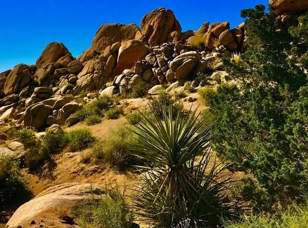 6220 Mirlo Ct, Yucca Valley, CA 92284