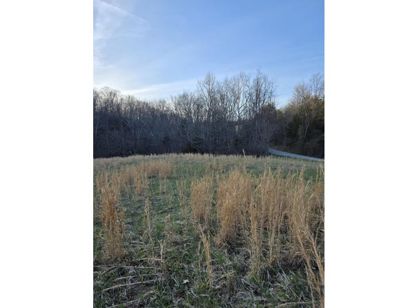 Tract 1 Pleasant Grove Road, Corinth, KY 41010