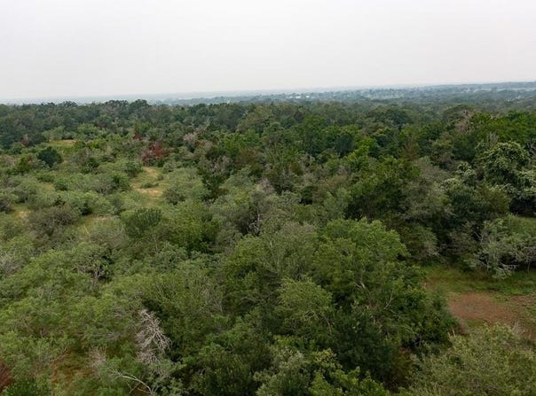 Private Road 4601 lot: 2, Waelder, TX 78959